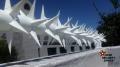 Star Security Spikes Specialists: DIY Kits